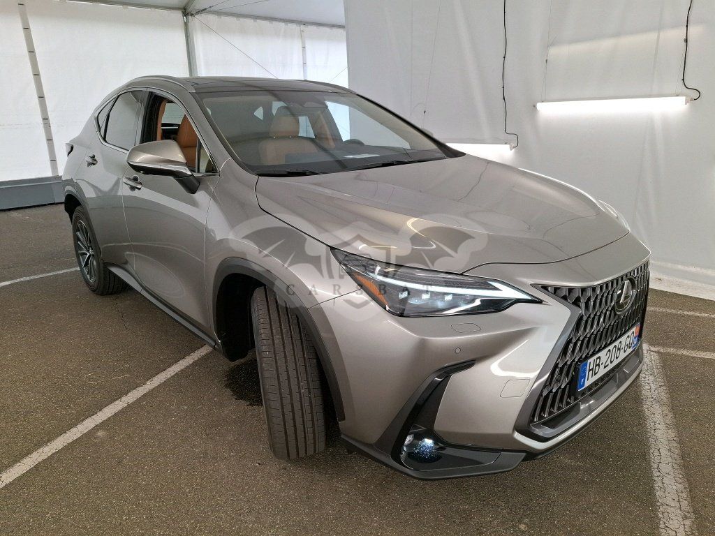 Lexus NX 350h Luxe 2025