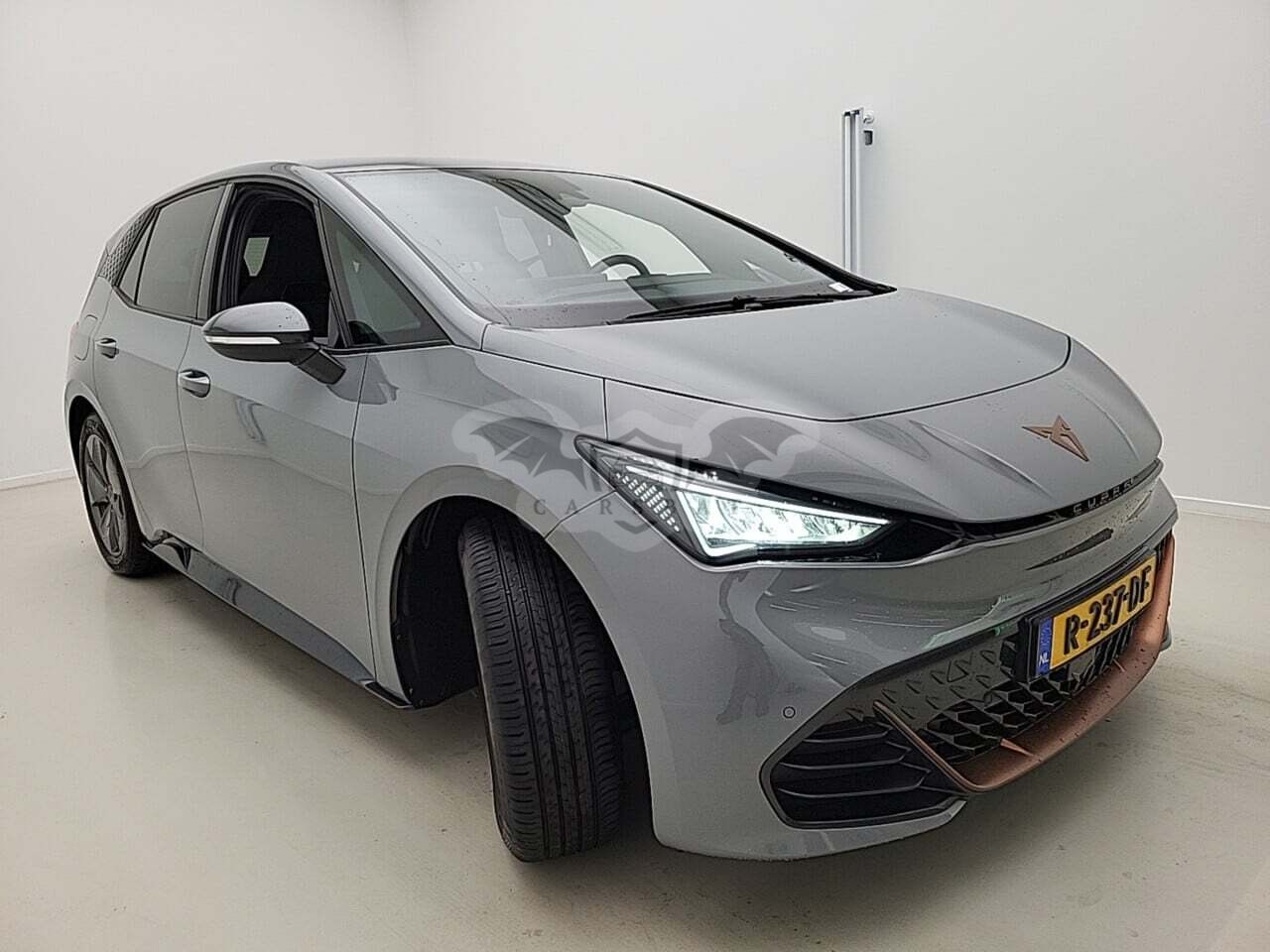 Cupra Born Business 2022