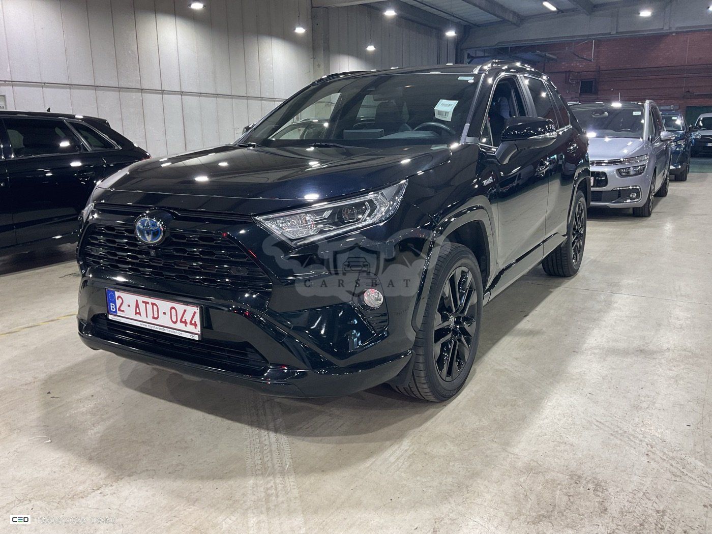 Toyota Rav4 2.5 Black Edition 2021