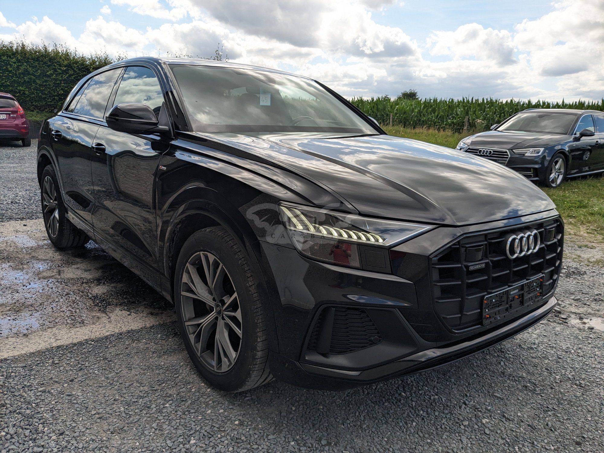 Audi Q8 50 TDI 2021