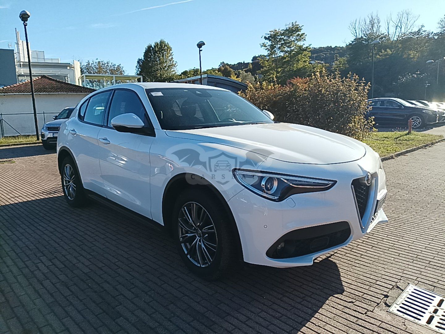 Alfa Romeo Stelvio 2.2 Super 2017